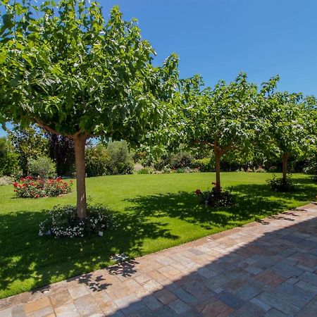 Villa Rodoula In Mystras 스파르티 외부 사진