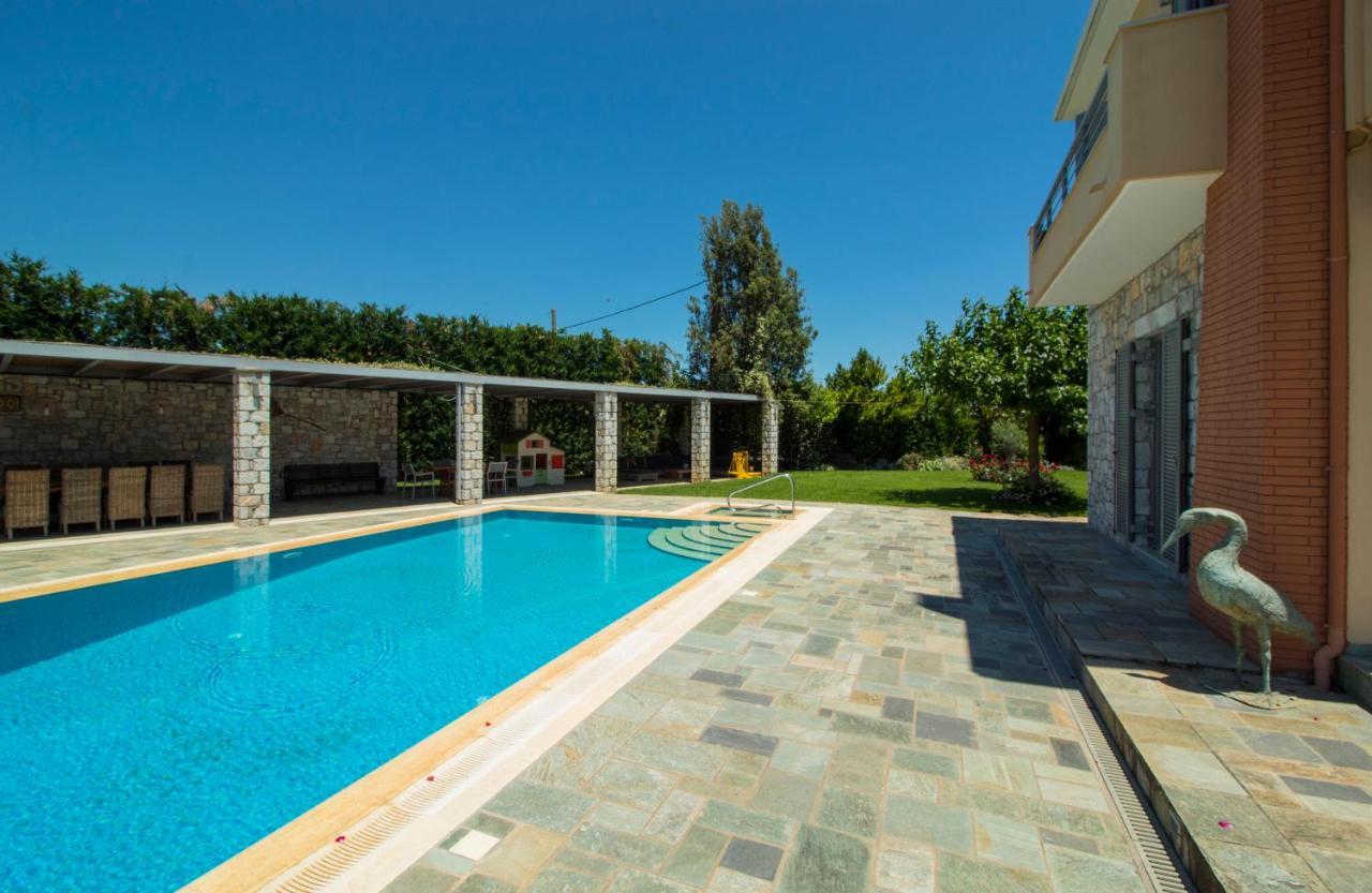 Villa Rodoula In Mystras 스파르티 외부 사진