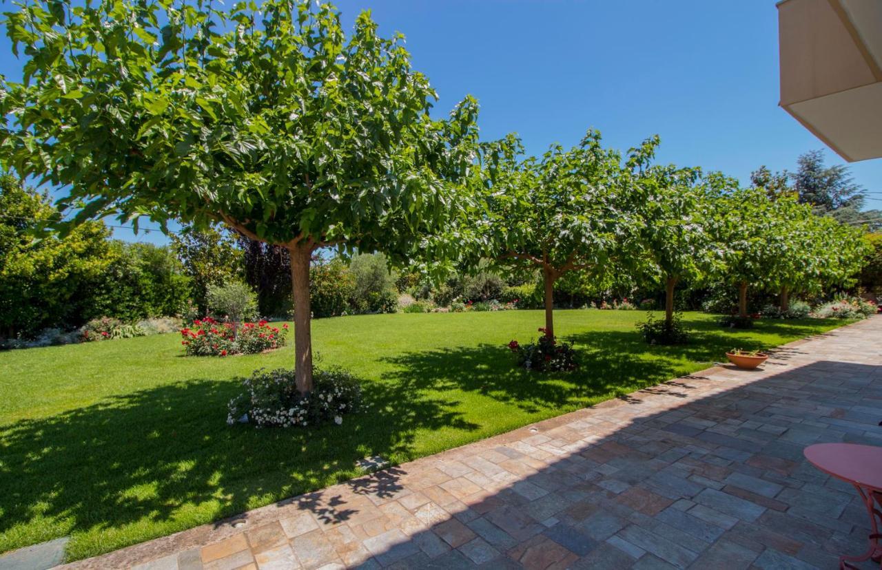 Villa Rodoula In Mystras 스파르티 외부 사진